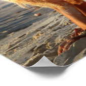 Poster Bébé de plage ensoleillé (Coin)