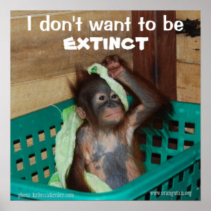 Poster Bébé de Pouty de conservation de faune