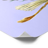 Poster BÉBÉ DE STORK DOUCHE GARÇON, turquase (Coin)