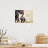 Poster bébé éléphant avec la photo d'amour de la mère (Cuisine)