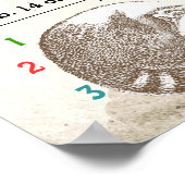 Poster Bébé Garçon natalité Statistiques mignonne Raccoon (Coin)