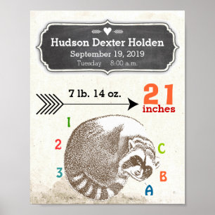 Poster Bébé Garçon natalité Statistiques mignonne Raccoon