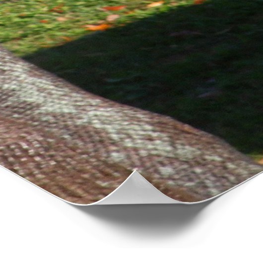 Poster Bébé girafe (Coin)