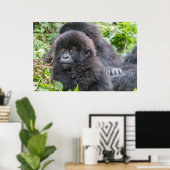 Poster Bébé gorille des montagnes (Bureau à domicile)