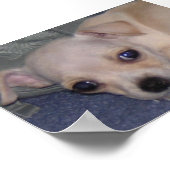 Poster Bébé Impression. (Coin)