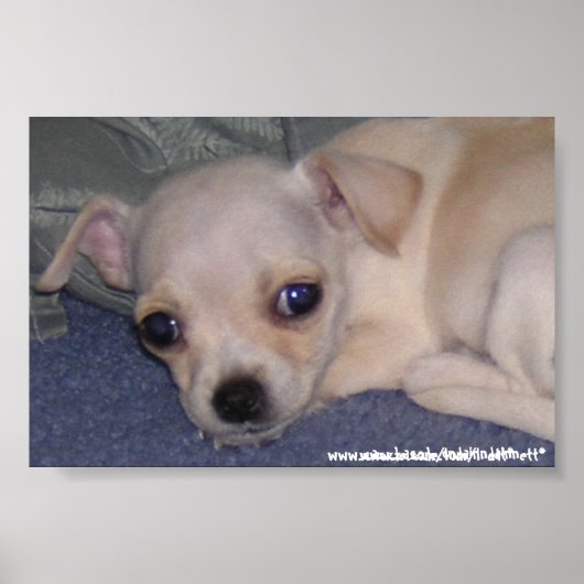 Poster Bébé Impression. (Devant)