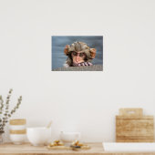 Poster Bébé Japonais Macaque | Jigokudani Yaen-Koen (Cuisine)