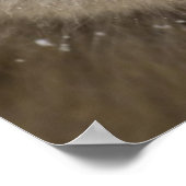 Poster Bébé Japonais Macaque | Singe des neiges (Coin)