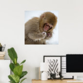Poster Bébé Japonais Macaque | Singe des neiges (Bureau à domicile)