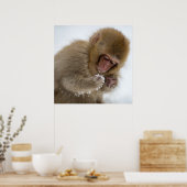 Poster Bébé Japonais Macaque | Singe des neiges (Cuisine)