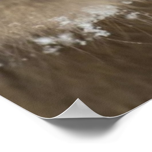 Poster Bébé Japonais Macaque | Singe des neiges (Coin)