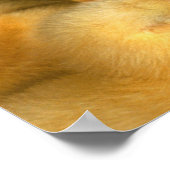 Poster Bébé Jaune Chicks (Coin)