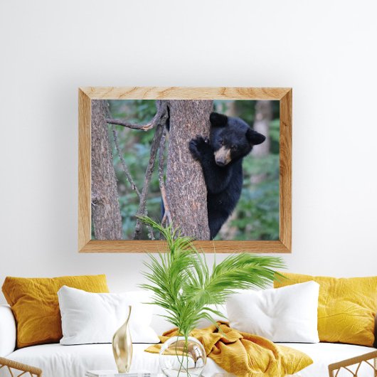 Poster Bébé Joueur Boeuf Noir Cub dans l'arbre Photo