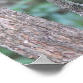 Poster Bébé Joueur Boeuf Noir Cub dans l'arbre Photo (Coin)