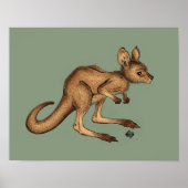 Poster Bébé Kangaroo/ Joey sur arrière - plan vert (Devant)