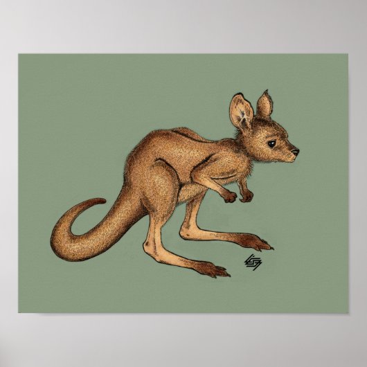Poster Bébé Kangaroo/ Joey sur arrière - plan vert (Devant)