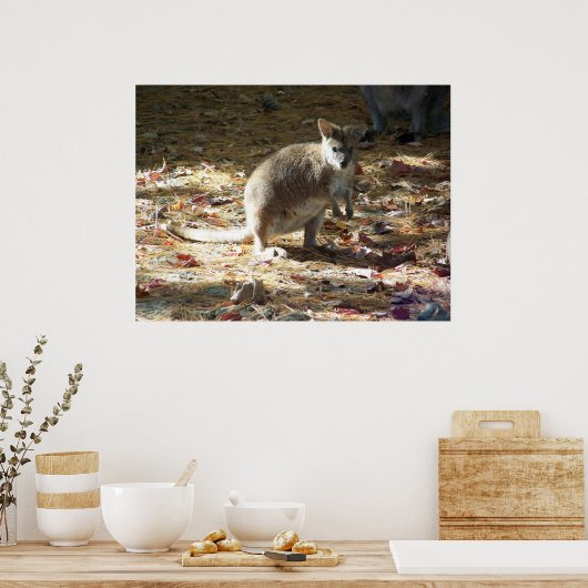 Poster bébé kangourou (Cuisine)