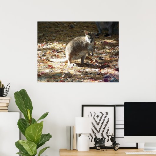 Poster bébé kangourou (Bureau à domicile)