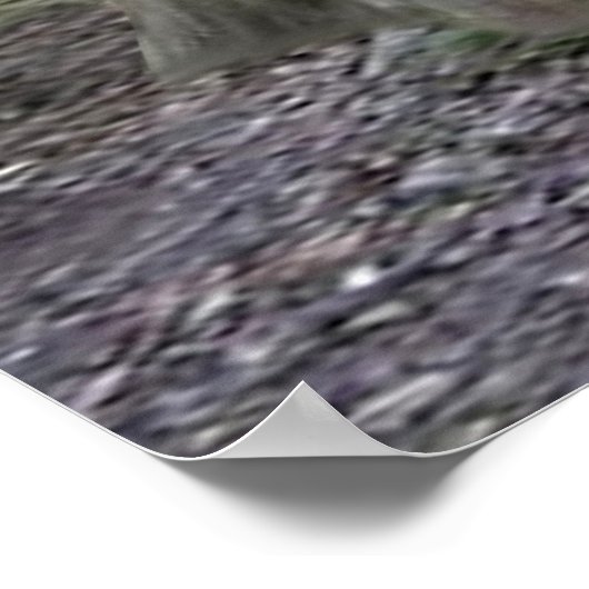 POSTER BÉBÉ KOALA HUGGIES (Coin)