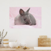 Poster bébé lapin (Cuisine)