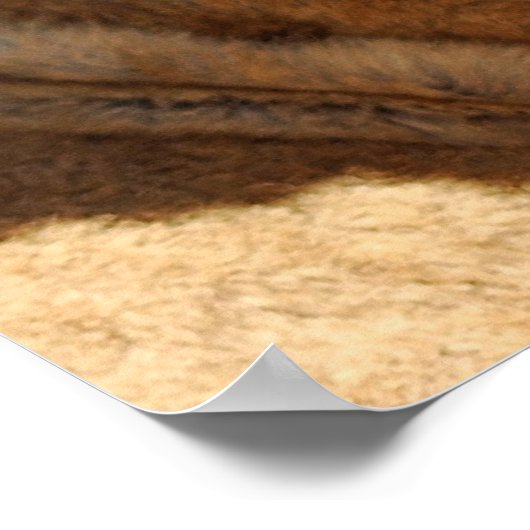 Poster Bébé lions amour (Coin)