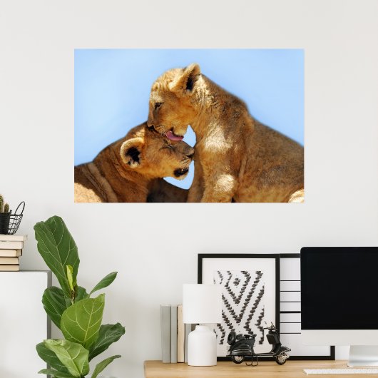 Poster Bébé lions amour (Bureau à domicile)