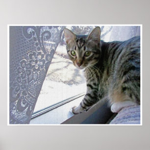 Poster Bébé maximum