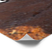 Poster Bébé Meerkats Cachés Sous Leurs Parents (Coin)