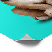 Poster Bébé mignon Cougar porter des lunettes de soleil (Coin)