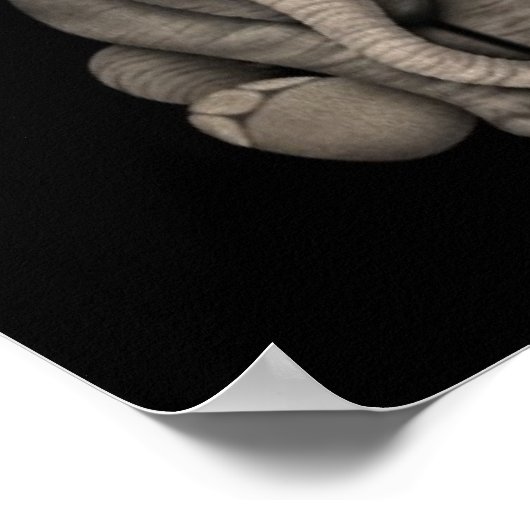 Poster Bébé mignon Eléphant Calf assis, Noir (Coin)