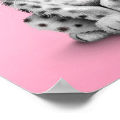 Poster Bébé mignon Léopard de neige sur rose (Coin)