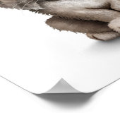 Poster Bébé mignon Lynx Cub sur blanc (Coin)