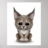 Poster Bébé mignon Lynx Cub sur blanc (Devant)