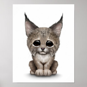 Poster Bébé mignon Lynx Cub sur blanc
