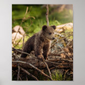 Poster Bébé mignon Ours en Bois (Devant)