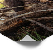 Poster Bébé mignon Ours en Bois (Coin)