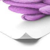 Poster Bébé mignon pourpre sur blanc (Coin)