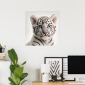 Poster Bébé mignon Sibérie blanc Tigre Portrait | 1:1 (Bureau à domicile)