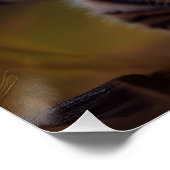 Poster Bébé mignon tigre (Coin)