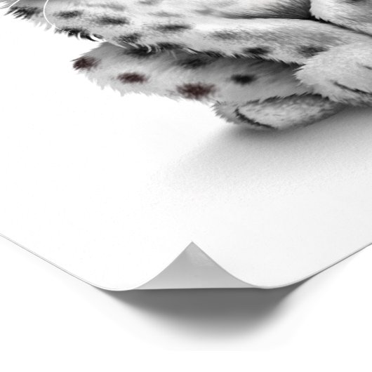 Poster Bébé mignonne Léopard de neige sur blanc (Coin)