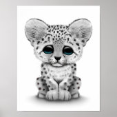 Poster Bébé mignonne Léopard de neige sur blanc (Devant)