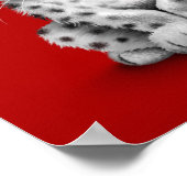 Poster Bébé mignonne Léopard de neige sur rouge (Coin)