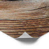 Poster Bébé Oiseaux (Coin)