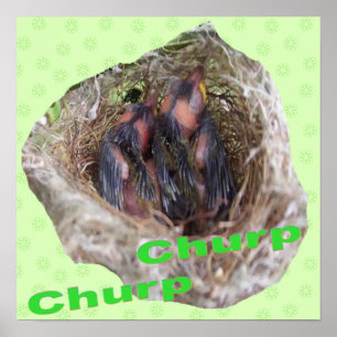 Poster Bébé Oiseaux