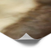 Poster Bébé Orangoutan (Coin)