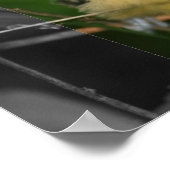 Poster Bébé Oriole Jeune Oiseau Couleur partielle (Coin)