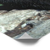 Poster Bébé Ours Noir (Coin)