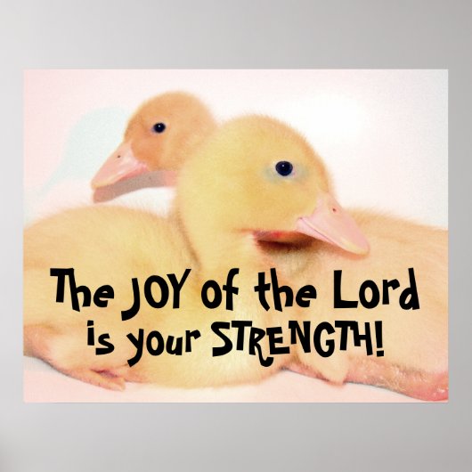 Poster Bébé Pekin Canard Canard Canard Oiseau Animal Anim (Devant)