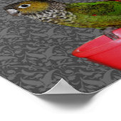 Poster Bébé Perroquets de consin animal (Coin)