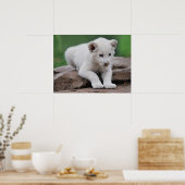 Poster Bébé série de petits lions blancs (Cuisine)